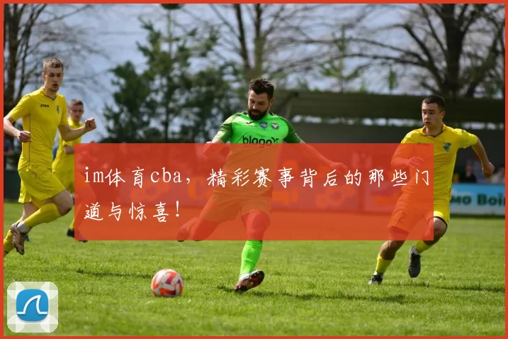 im体育cba，精彩赛事背后的那些门道与惊喜！