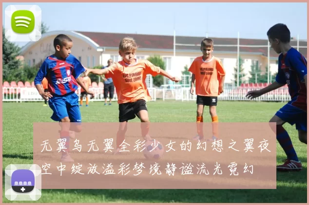 无翼乌无翼全彩少女的幻想之翼夜空中绽放溢彩梦境静谧流光霓幻