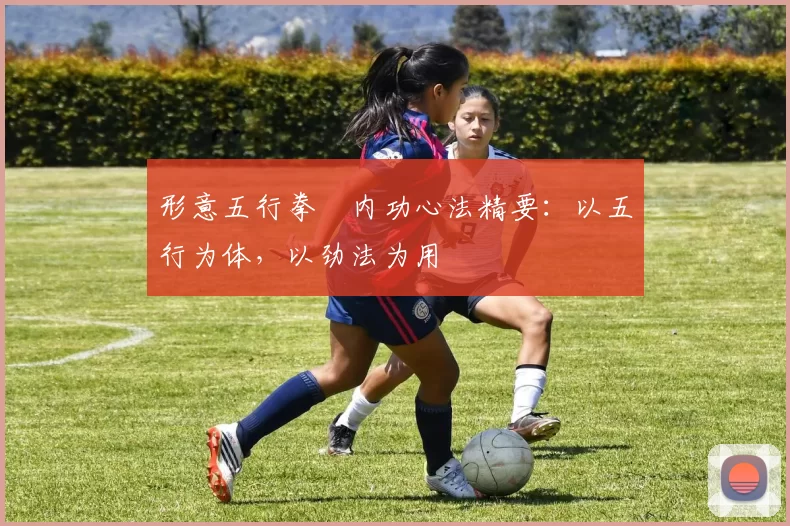 形意五行拳・内功心法精要：以五行为体，以劲法为用