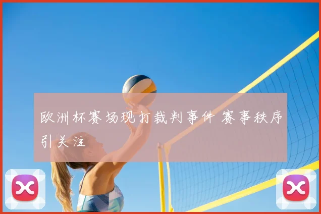 欧洲杯赛场现打裁判事件 赛事秩序引关注